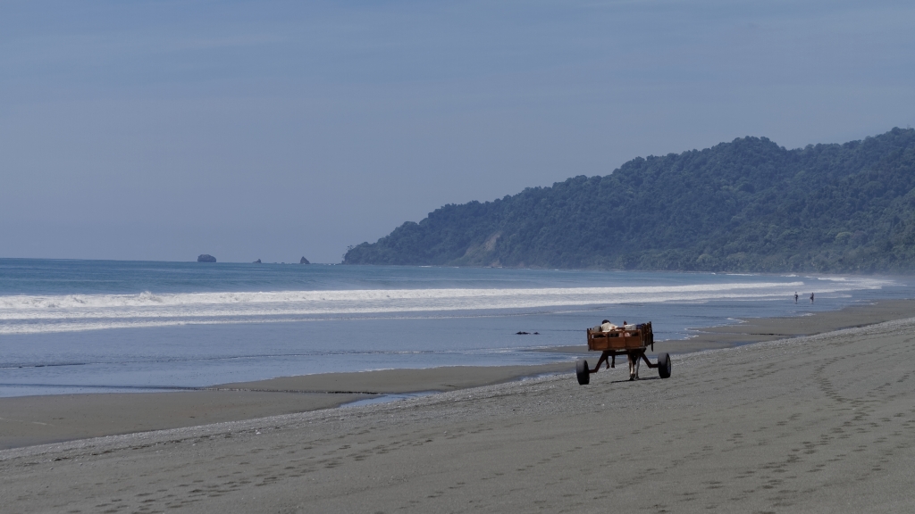 11 - Corcovado NP (12).jpg